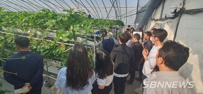 논산딸기 LED 단동형 다단재배, ‘성공적’ 모델 제시