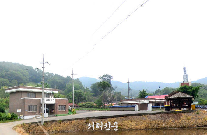 판교면 심동리 마을 전경