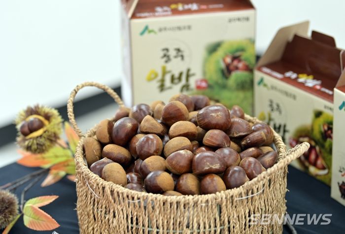 공주시, 고향사랑기부제 답례품 공급업체 공모